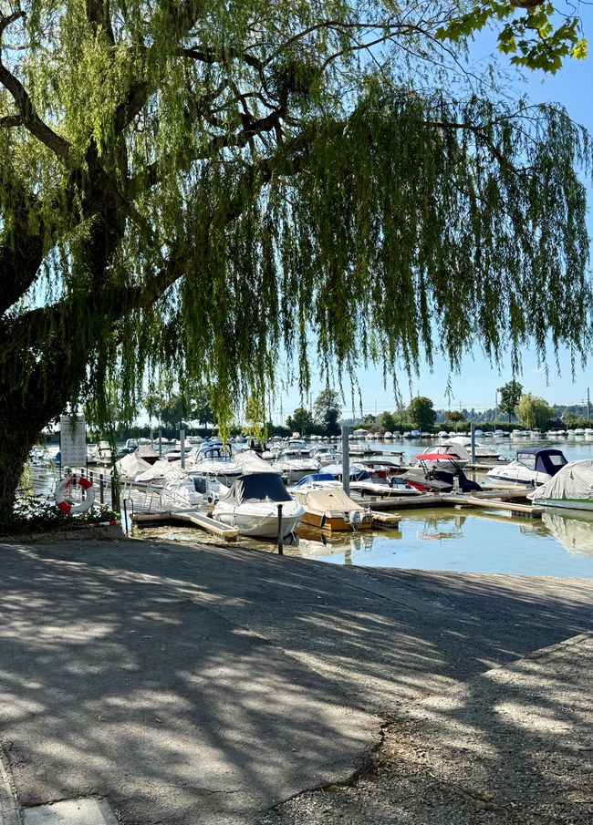 📍Lindau, Bodensee