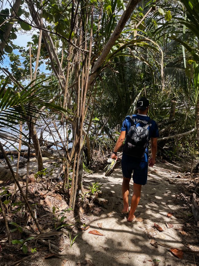 Puerto Viejo de Talamanca 🦥