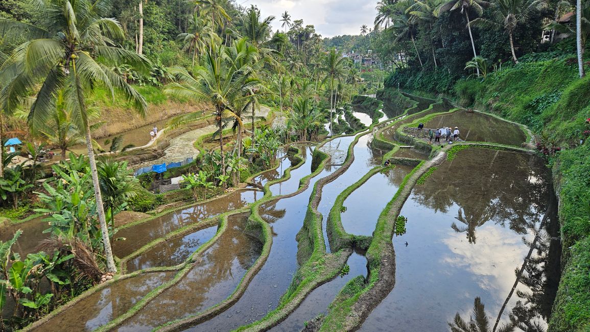 Ubud