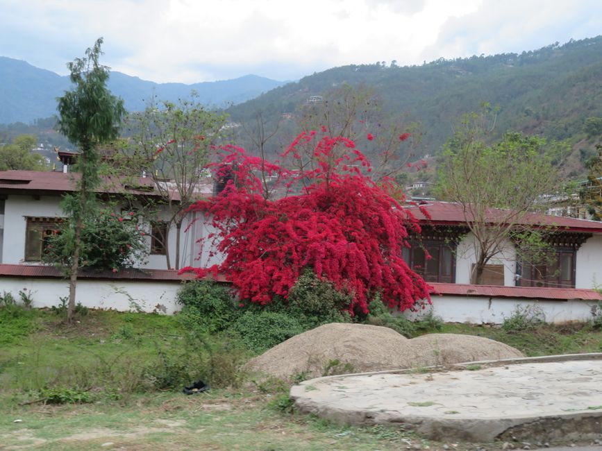 Bridge to the dzong