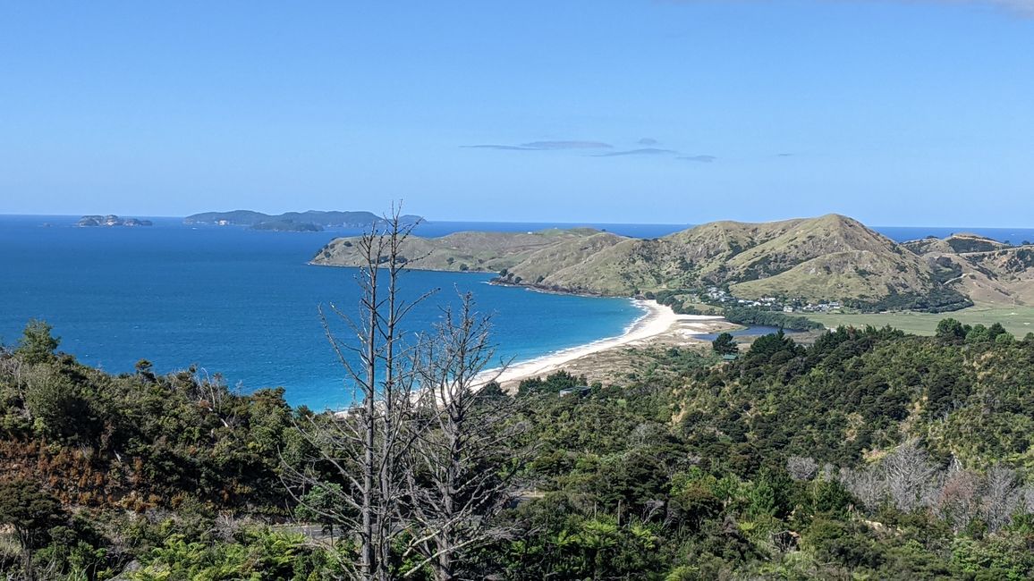 Coromandel / Playa Opito
