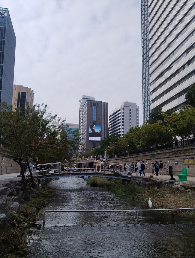 Danza tradizionale coreana nel quartiere Geumcheon-Gu 