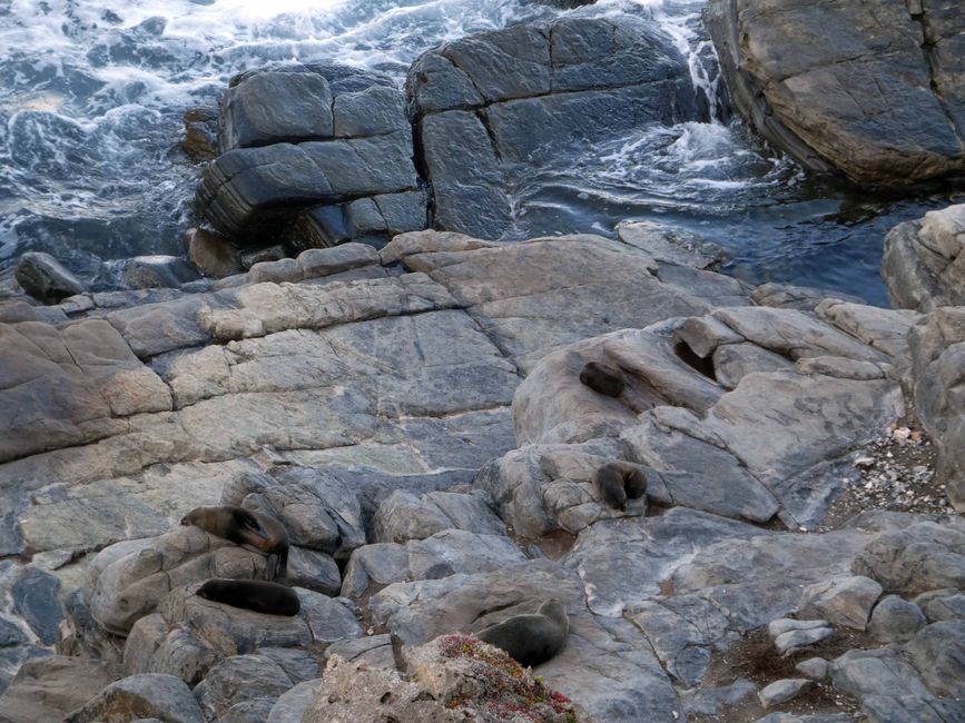 Kangaroo Island
