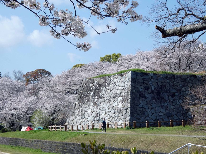 Fukuoka, 5 avril 2026