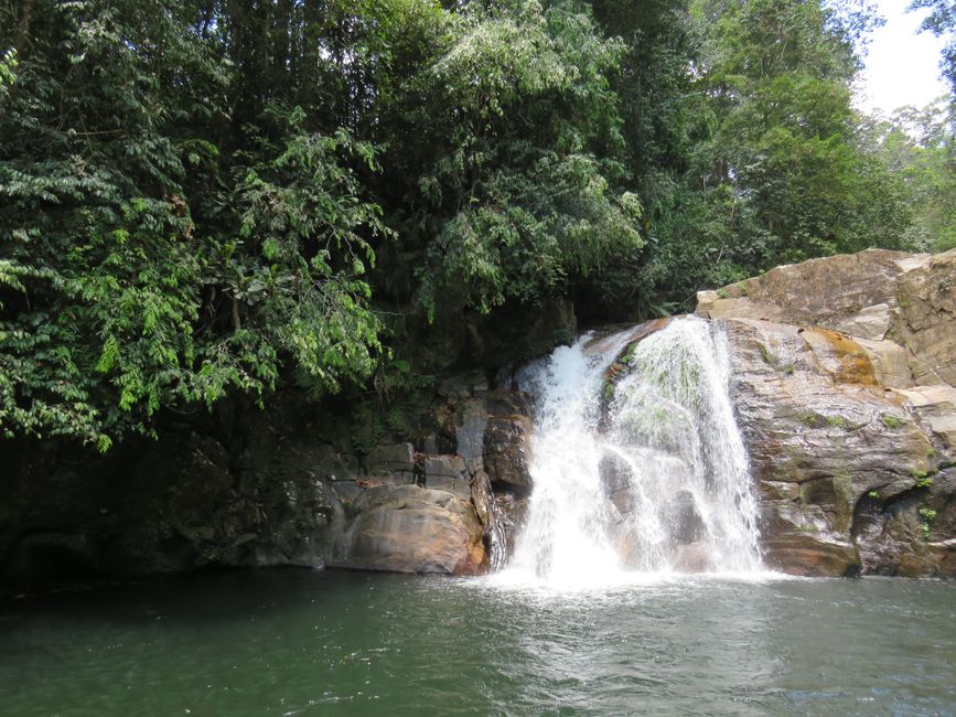 Sinharaja - l'ultima foresta pluviale dello Sri Lanka