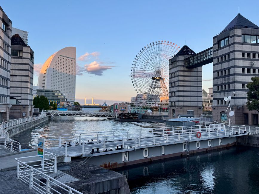 Parte 7
BENVENUTO IN GIAPPONE 🇯🇵
TOKYO