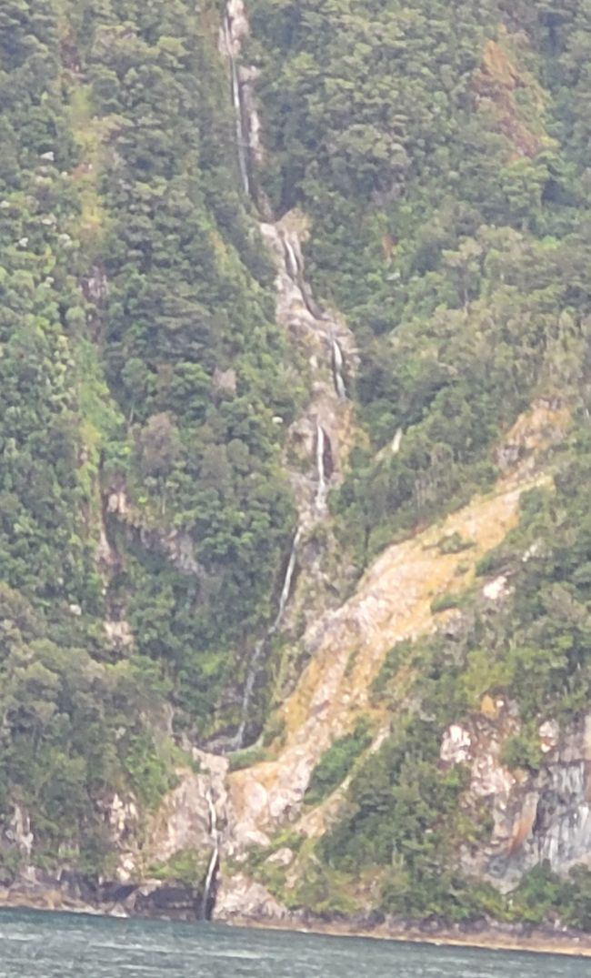 Tag 85 von 175: Kreuzfahrt rund um die Welt  - Routenänderung  wegen der Wetterbedingungen  - Kreuzen im Dusky Sound und Breaksea Sound/Neuseeland