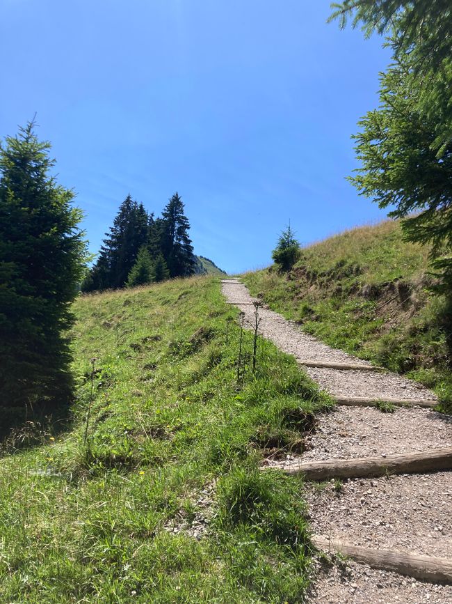 Genusswanderung zum Wertacher Hörnle