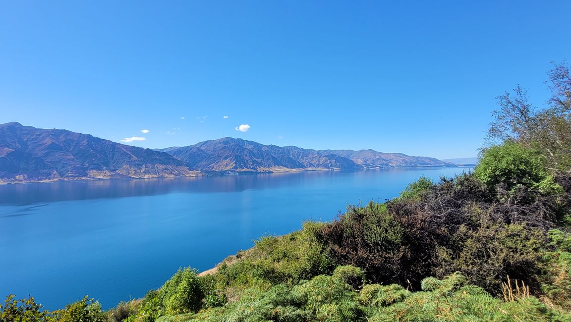 29.Januar-27.februar 2025 Neuseeland
12.Februar