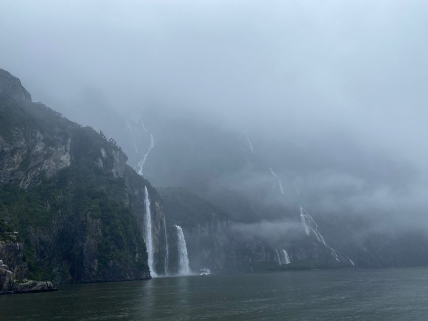 Road trip to Milford Sound