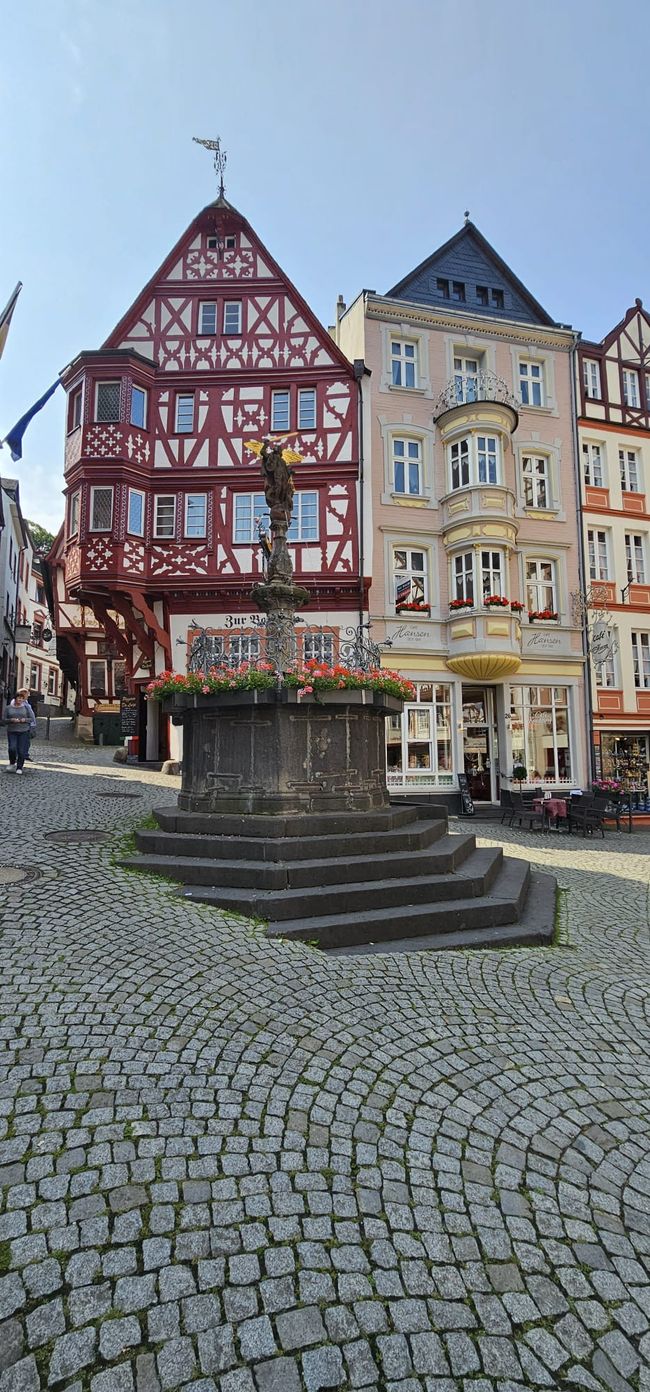 Cochem on the Moselle