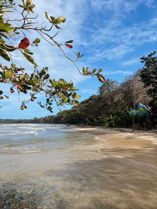 Puerto Viejo de Talamanca 🦥