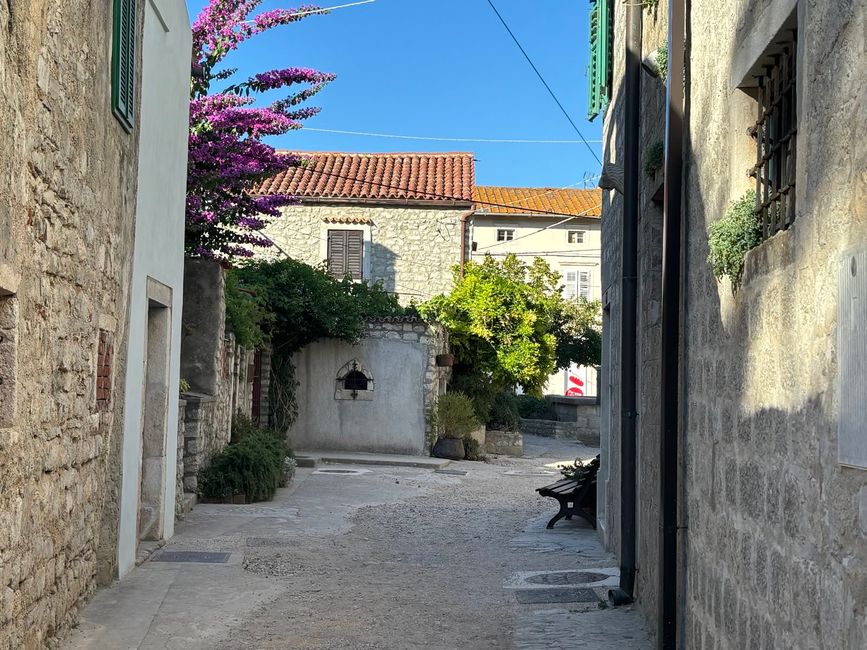 Impressions from the island of Lošinj