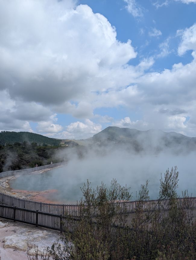 Wai-o-Tapo & Lake Aniwhenura: Ein Tag voller E