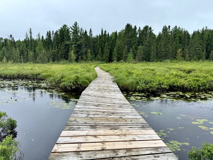 Huntsville - Mosquitoes - Miles and Misunderstandings