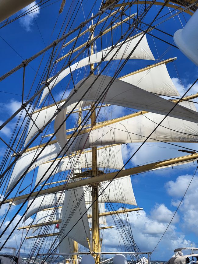 Christmas in the Caribbean - Martinique (Cruise with the Royal Clipper)