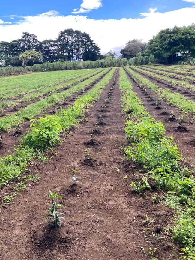 Viel Aufregendes und Schönes erlebt