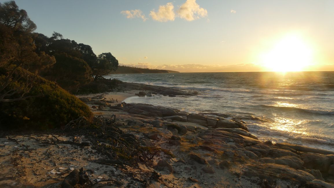 - Singapur & Tasmania 2019 -