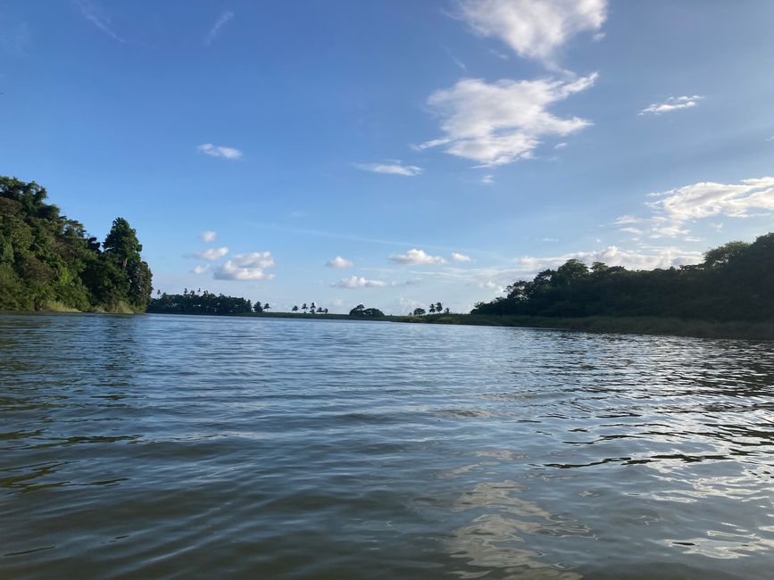 Kayaktour et Parc National Corcovado