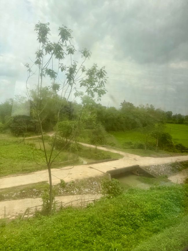 Paysage depuis le train