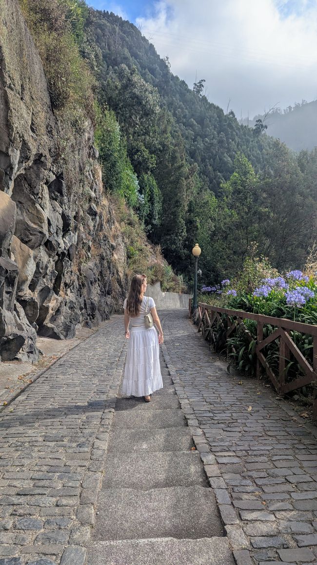 Tag 9: Funchal - mit einer rasanten Schlittenfahrt