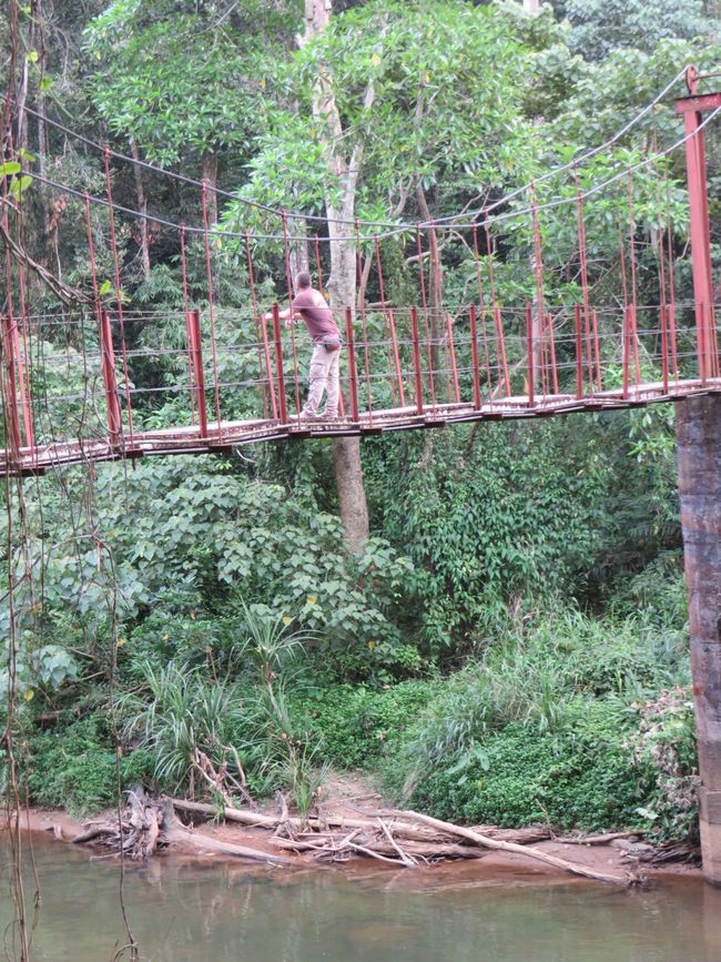 Sinharaja - l'ultima foresta pluviale dello Sri Lanka
