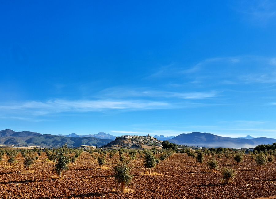Berdún