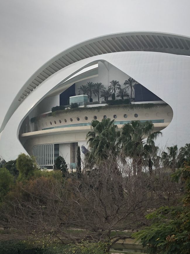 Der erste Calatrava-Bau in der Stadt der Künste und Wissenschaften