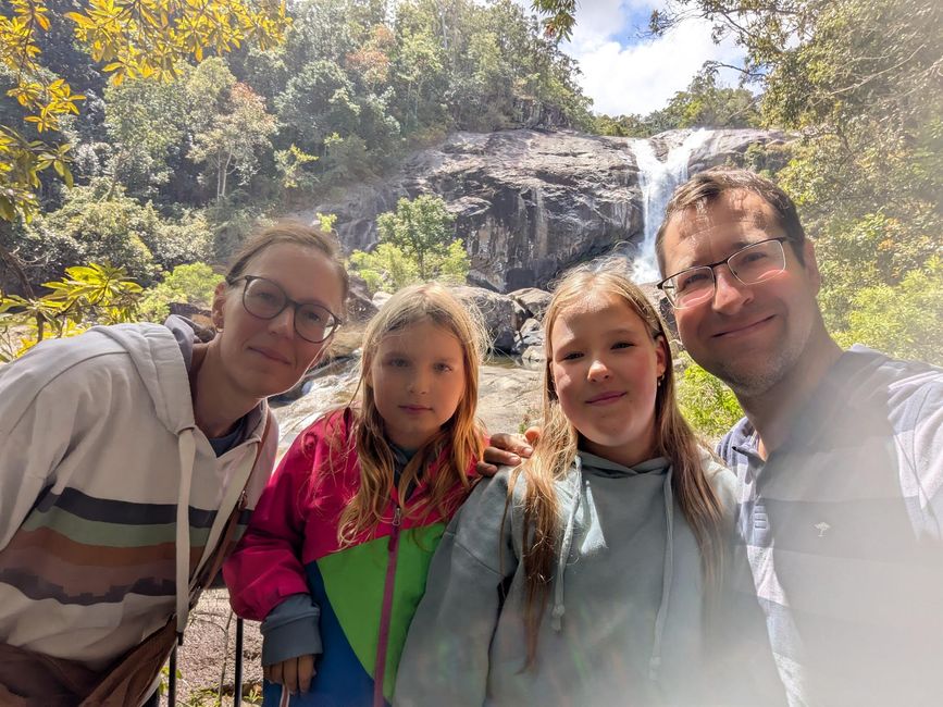 Millaa Millaa Waterfalls