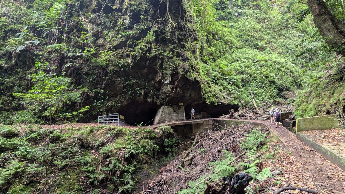 Tag 13: Levada da Ribeira da Janela & Nordwestküste