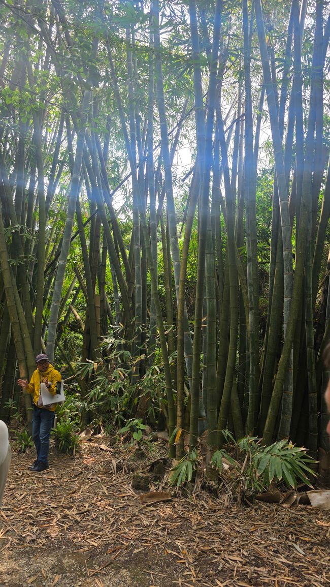 Les derniers jours sur l'île d'Okinawa
