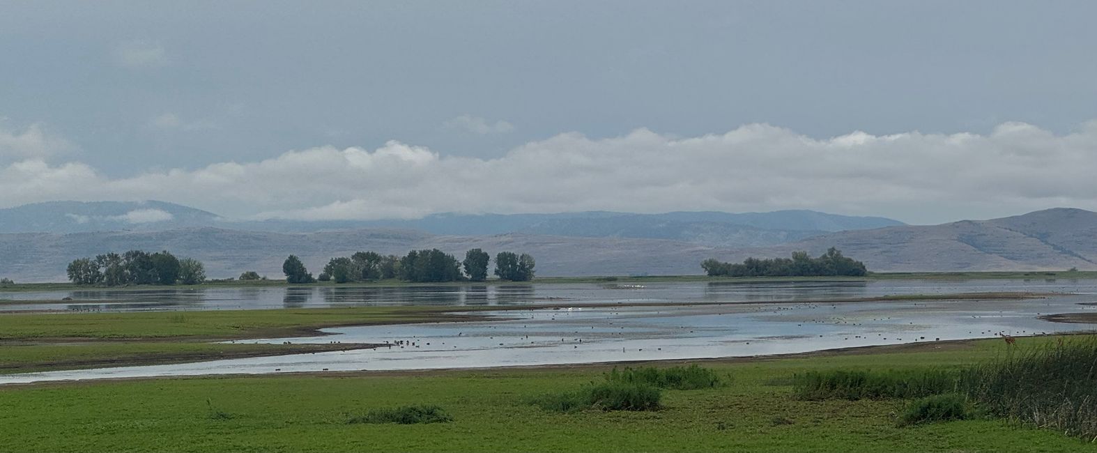 From Glacier NP via Missoula to Hailey