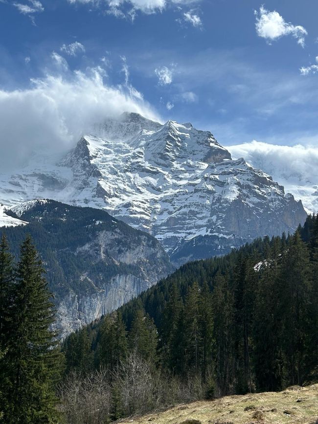 View of the Jungfrau mountain