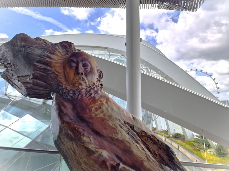 Gardens by the bay
