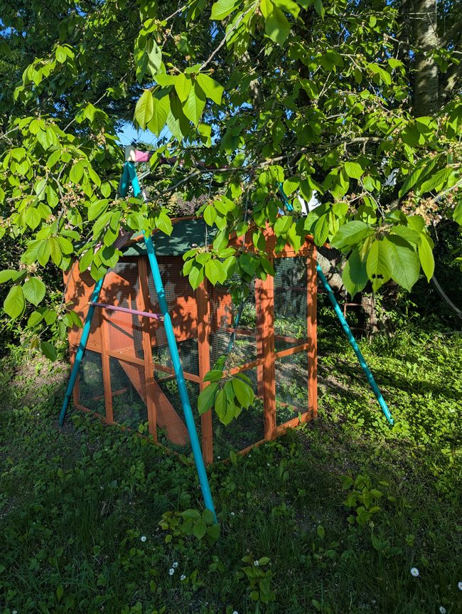 Magdeburg- nach fünf Jahren mal wieder Geburtstag zu Hause feiern