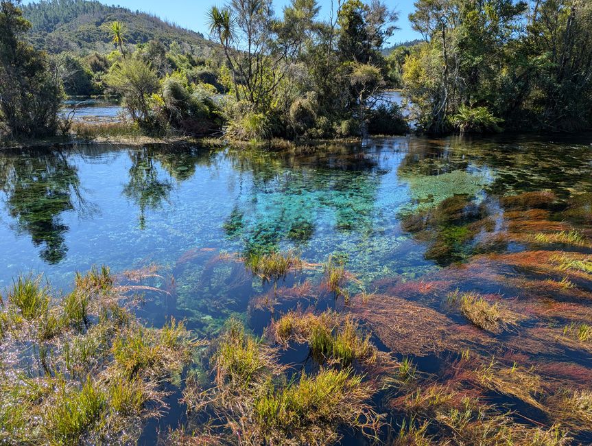 Te Waikoropupū Springs