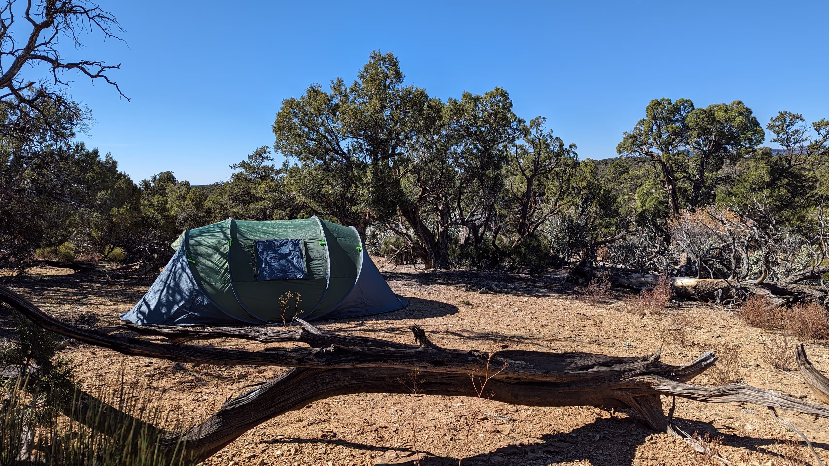 tent