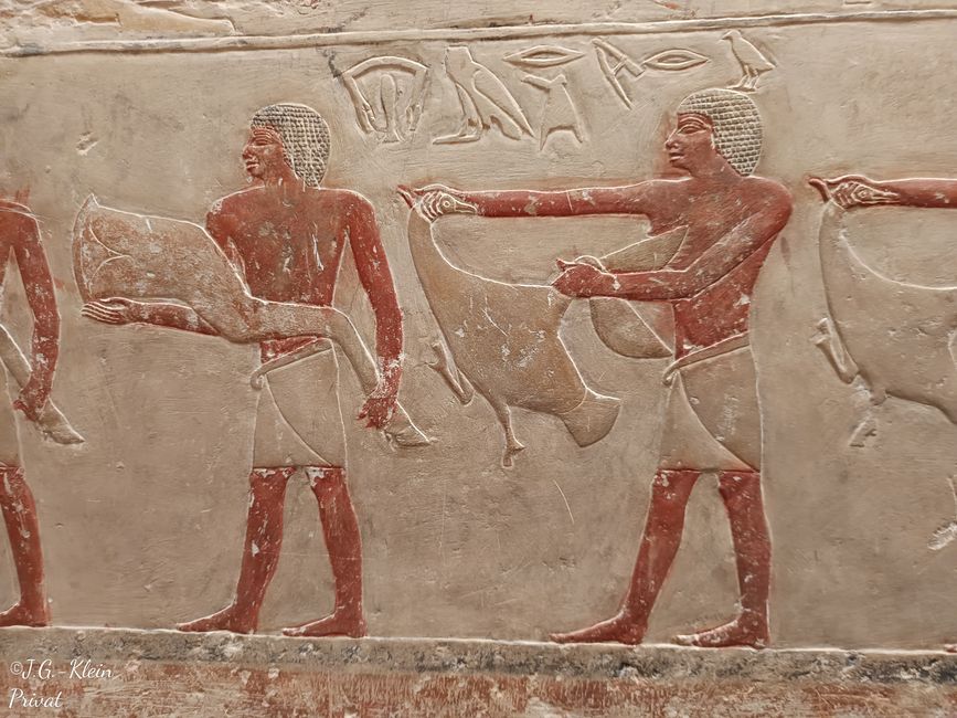 Sakkara, Memphis, Kairo
Tag 3