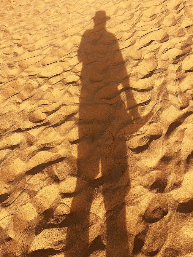 On the Red Dunes