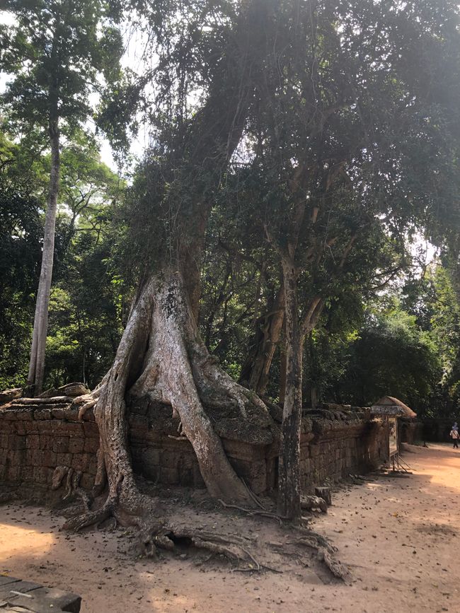 Tempel Ta Prohm