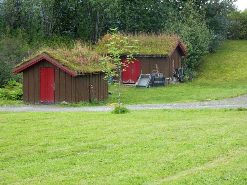 Tromsø arktisk-alpine botanisk hage