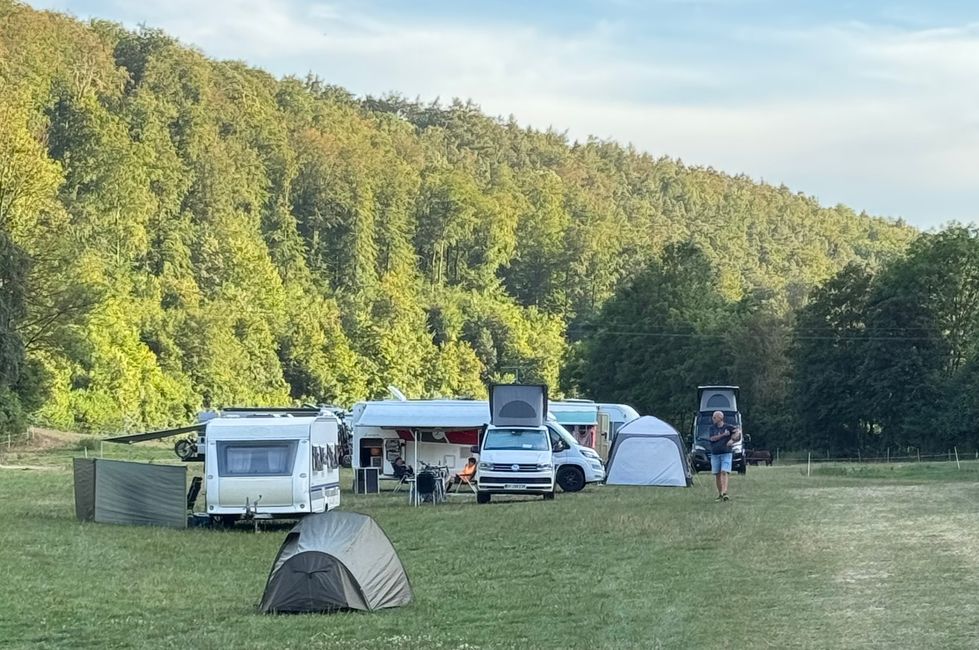 Probsteizella