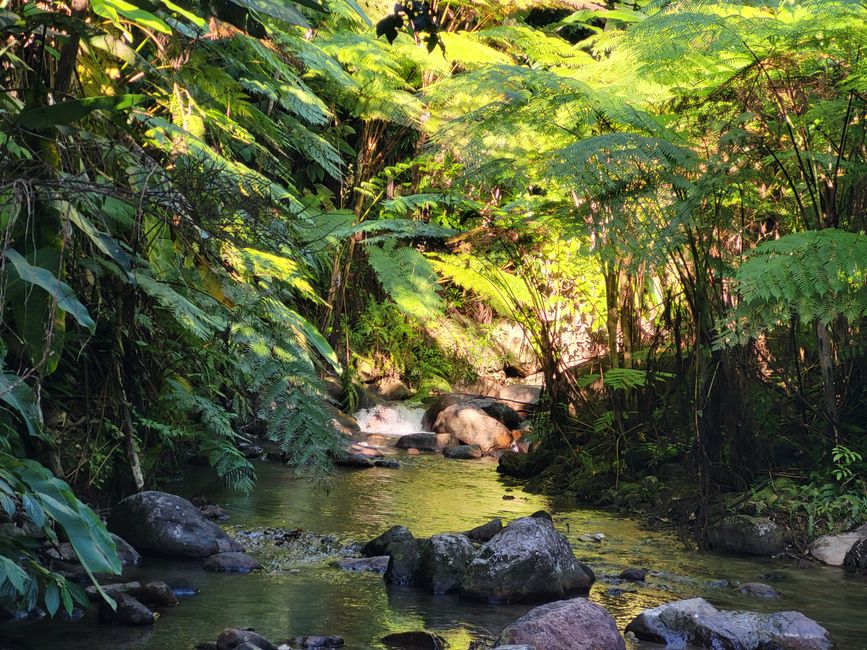 Weg zum Wasserfall 