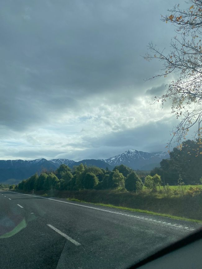 Nelson, Queen Charlotte drive, Picton, Kaikoura, Blenheim