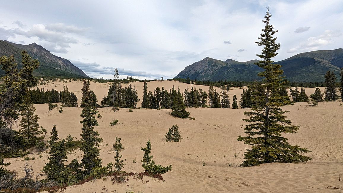 Etiqueta 21: Alrededor de Whitehorse: Cachorros de husky, Lago Esmeralda y el desierto más pequeño del mundo