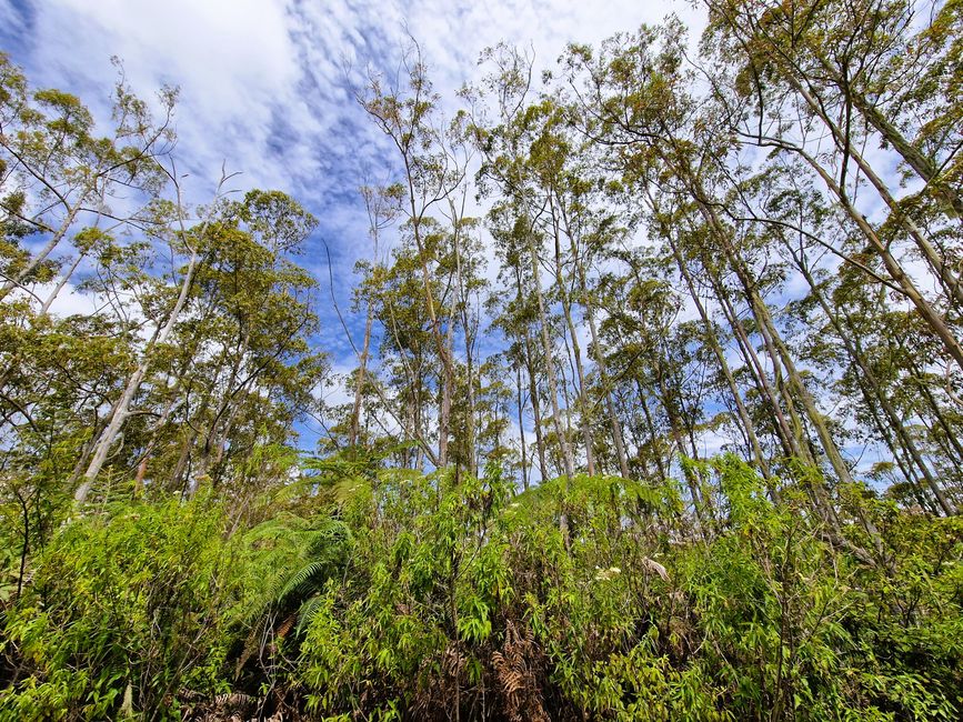 Horas, Danau Toba und ein Wiedersehen nach 34 Jahren