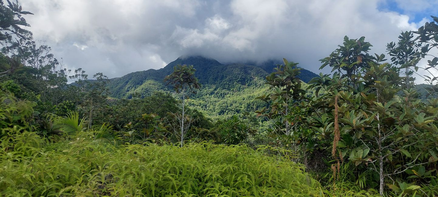 🇸🇨 Seychelles