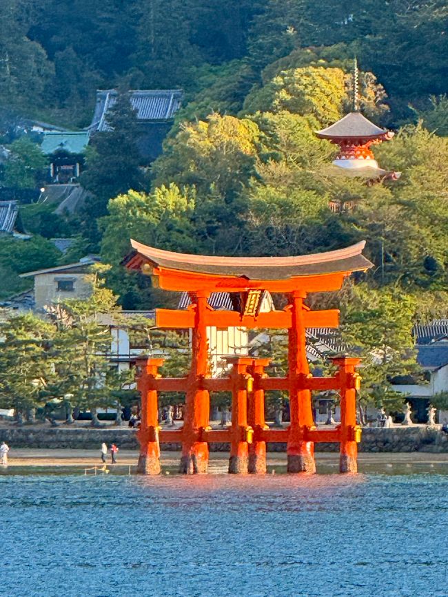 Part 9 Japan 🇯🇵 Osaka