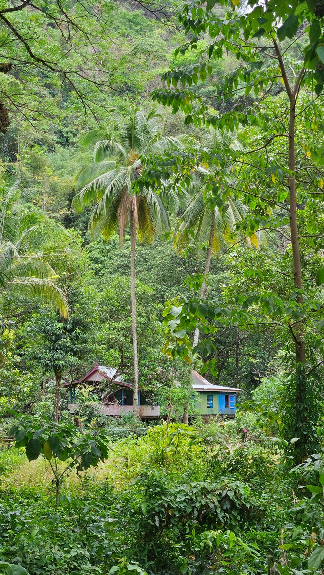 Rammang Rammang