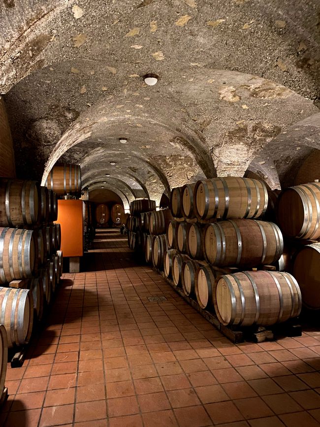Tuscany Tour - Stop 3: Wine Tasting in Montalcino